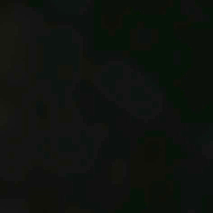 Falke Sk5 Skisok Dames 3 Falke Sk5 Skisok Dames - Afbeelding 3