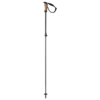 Elan Voyager Pole Vario Skistok